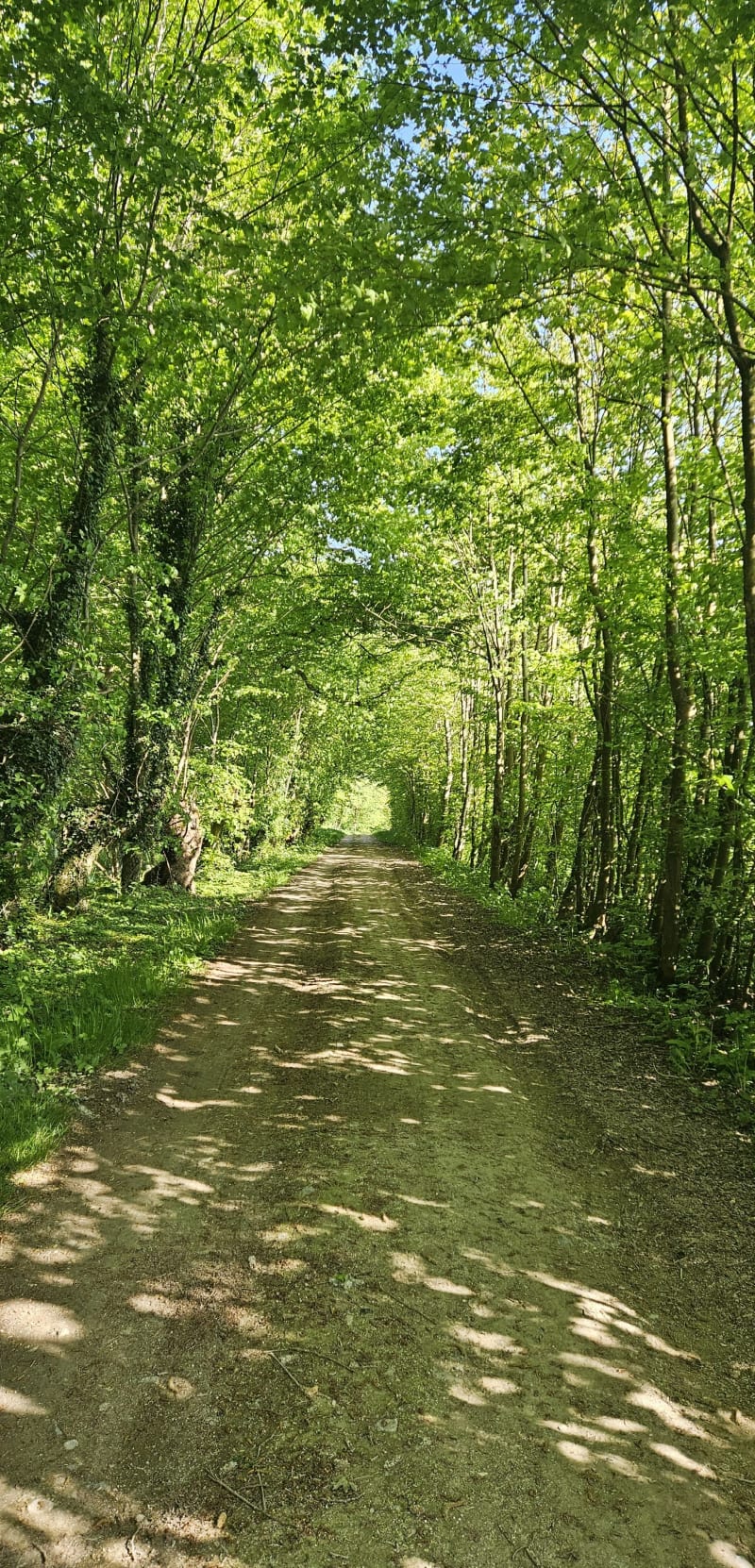 Chemin de la Vertue Bleue - Hermaville