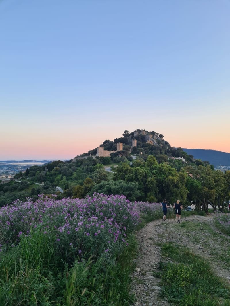 Balade en colline - Fenouillet Hyères - Hyères