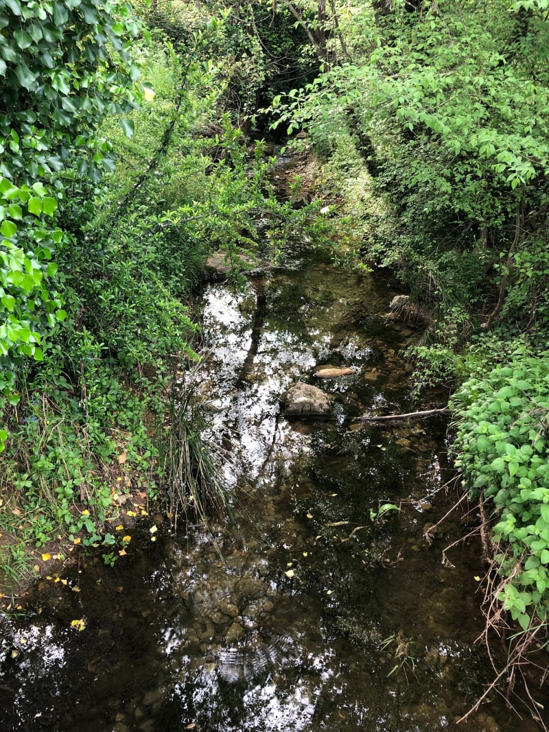 Balade dans les sentiers du Parc des Bouillides - Valbonne