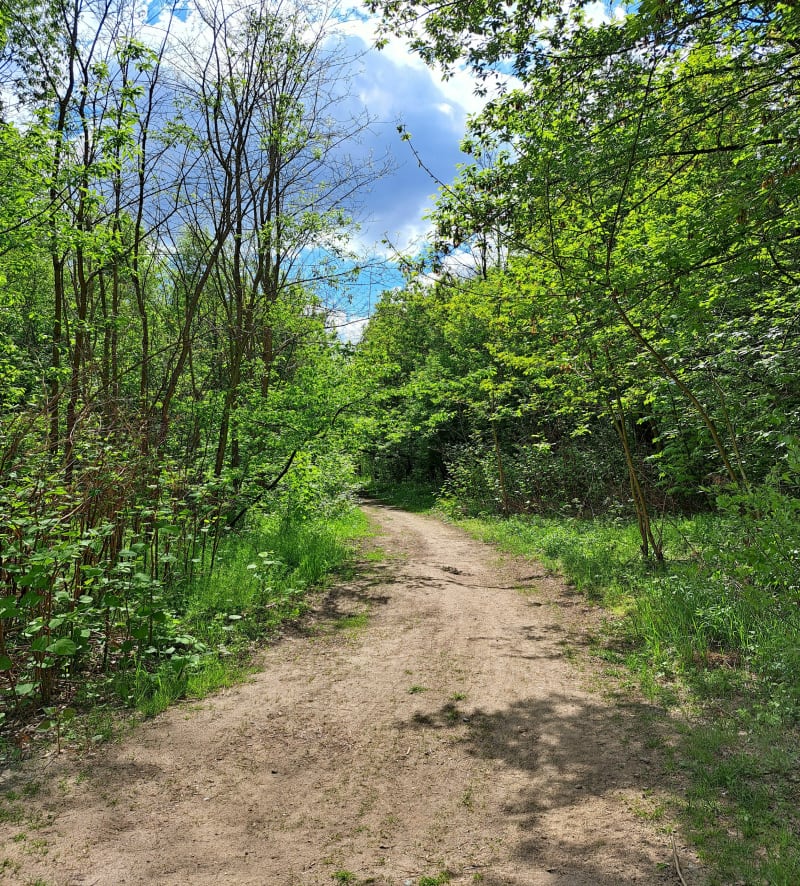 Trasa lublinkowa - Łódź