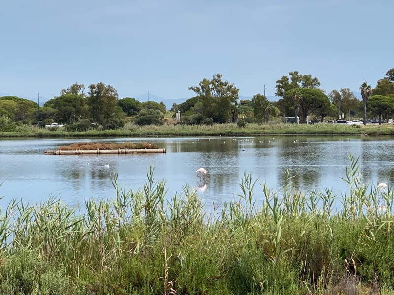 Presqu’île de Gien depuis Notre-Dame-des-Maures - La Londe-les-Maures