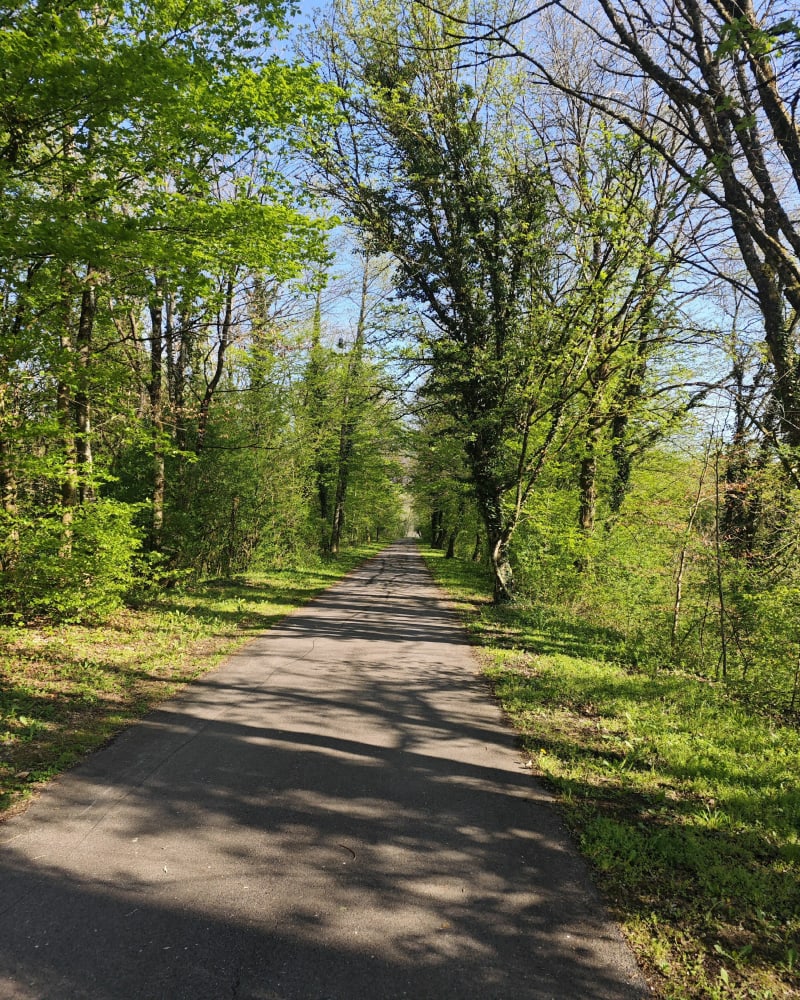 Belle balade en vélo autour de Sarreguemines - Woustviller