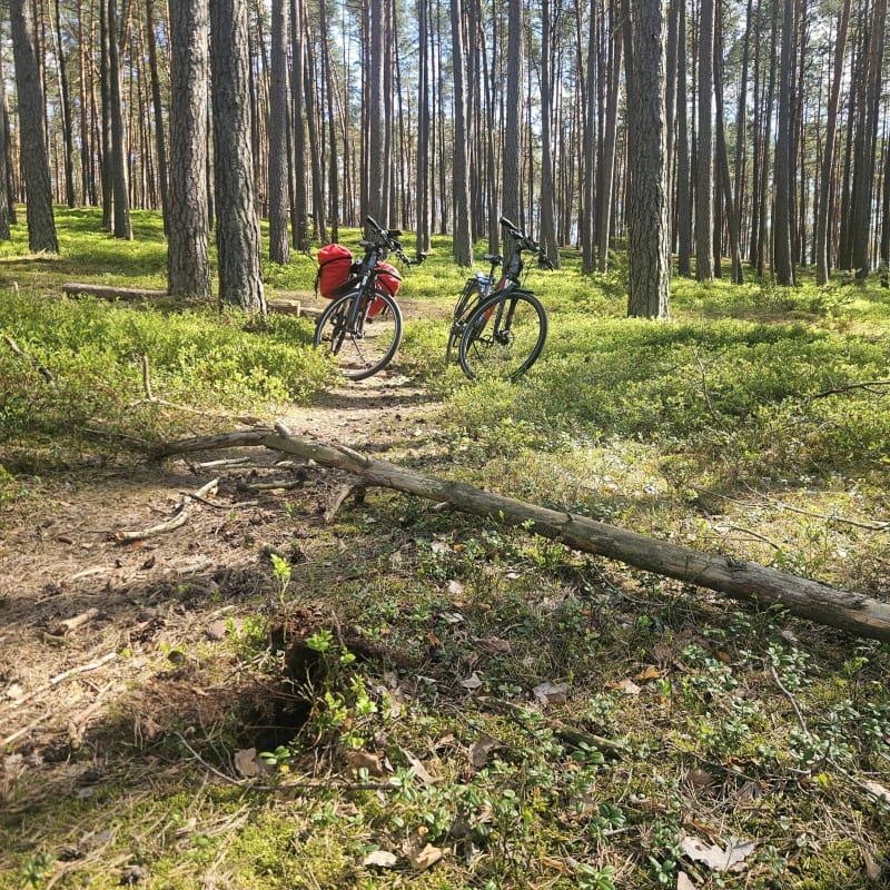 Maszruta Bory Tucholskie - Powiat chojnicki