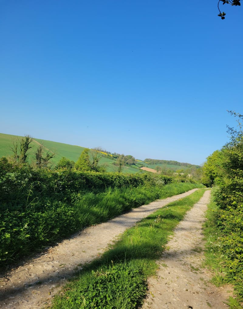 La Coursetoise - Courset