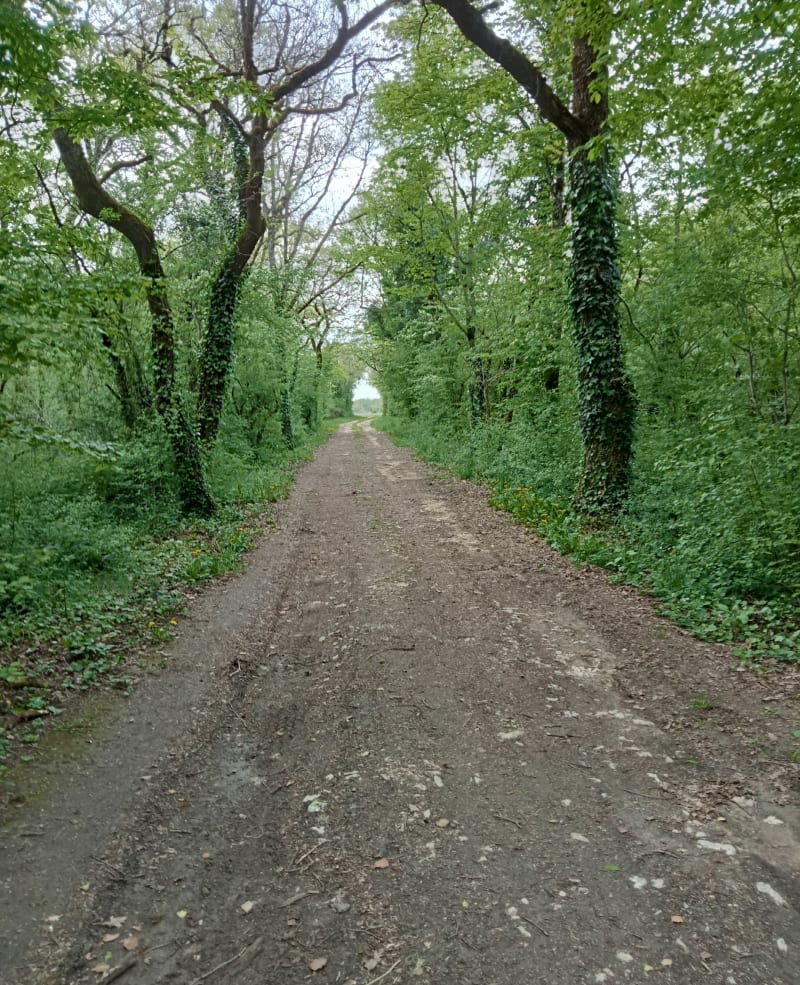 Autour de Morthomiers - Morthomiers
