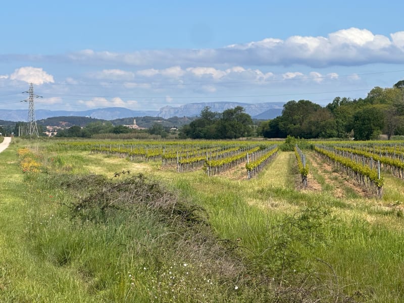 Le roujas - Montady