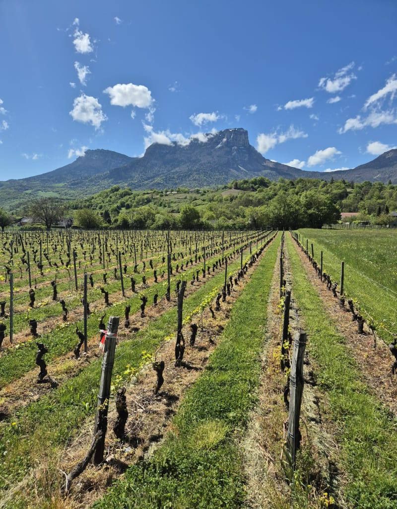 Boucle de Saint-Jeoire-Prieuré à Châteauneuf - Saint-Jeoire-Prieuré
