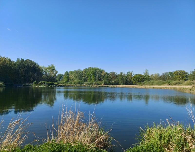 Marais de Somme entre Offoy et Voyennes - Voyennes