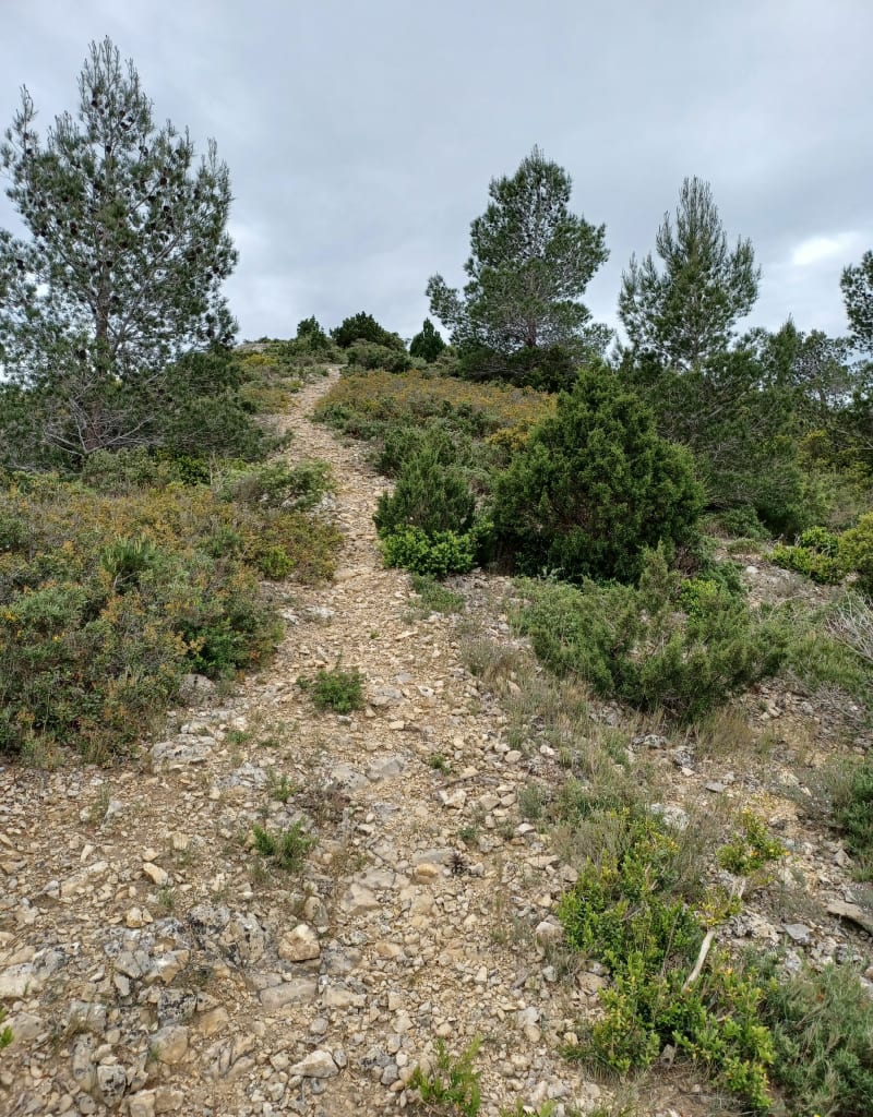Petite promenade à Aramon et Bories - Aramon