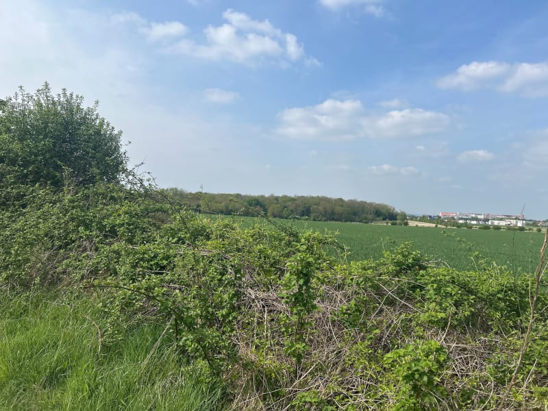 Promenade aux alentours de Salouël et Saleux - Salouël