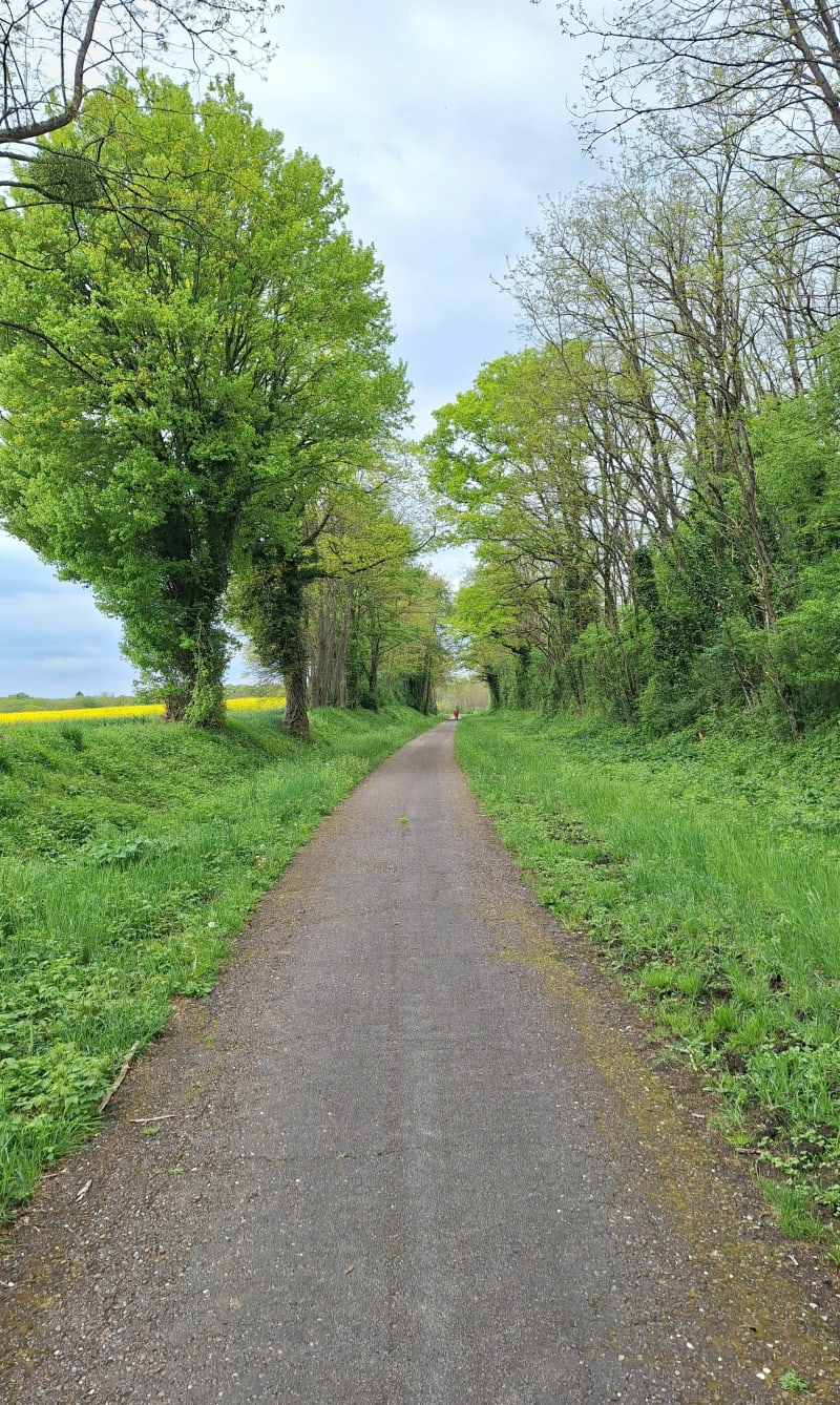 Balade entre champs et forêts de Belle Côte - Quincey