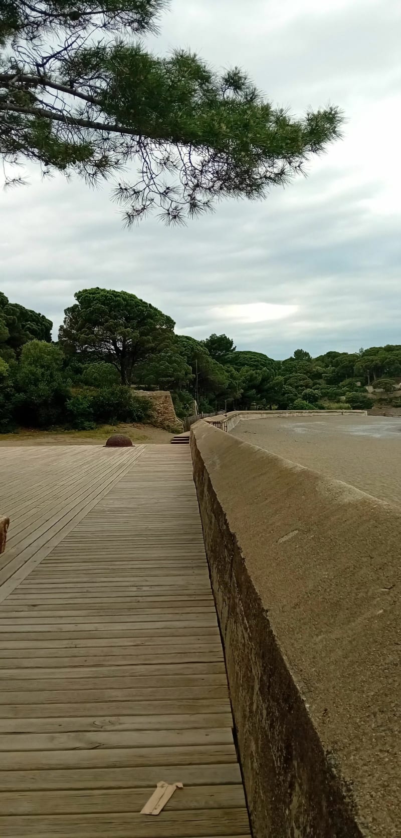 Site de l'anse de Paulilles, entre Port Vendres et Banyuls - Port-Vendres