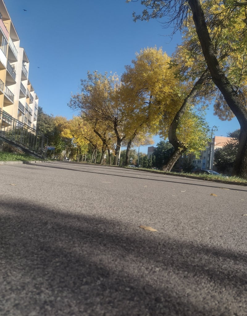 Spacer z rodziną - Łódź