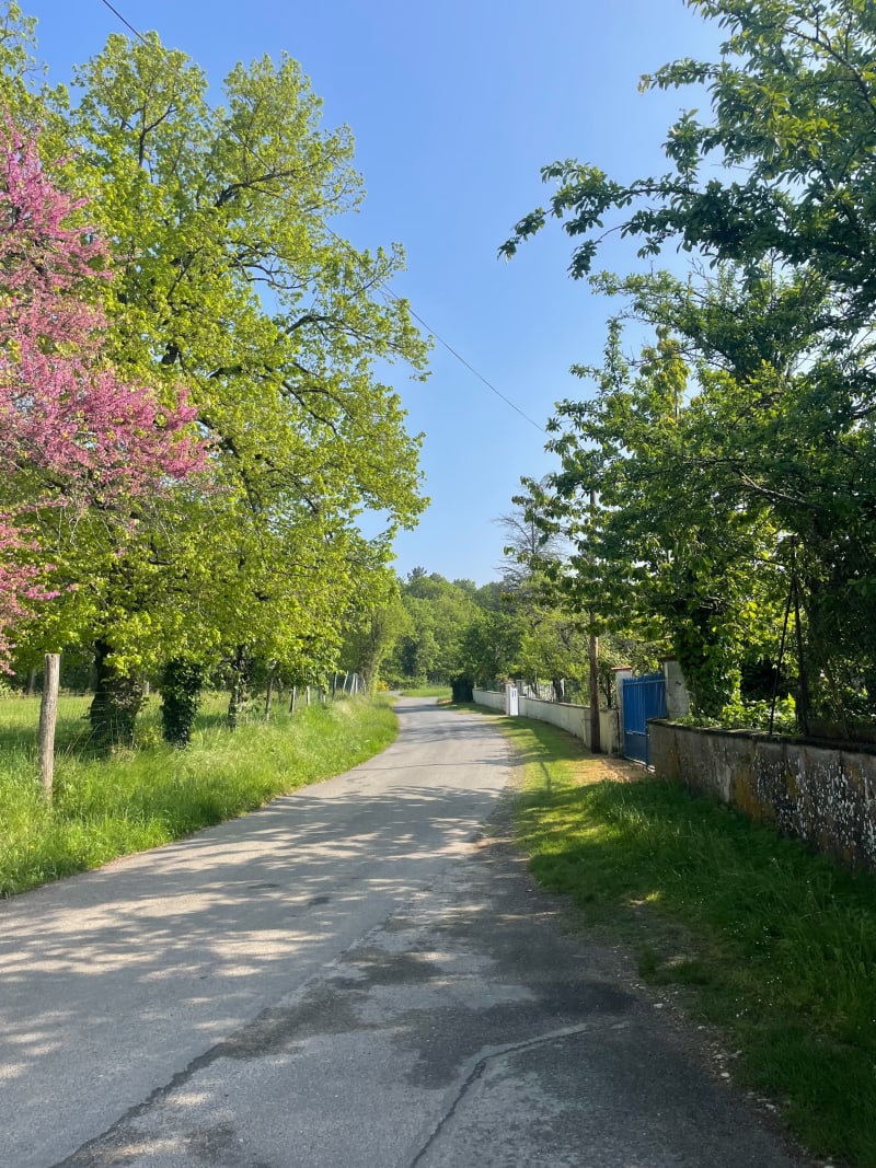 Boucle entre Liniers, Lavoux et Bignoux - Liniers