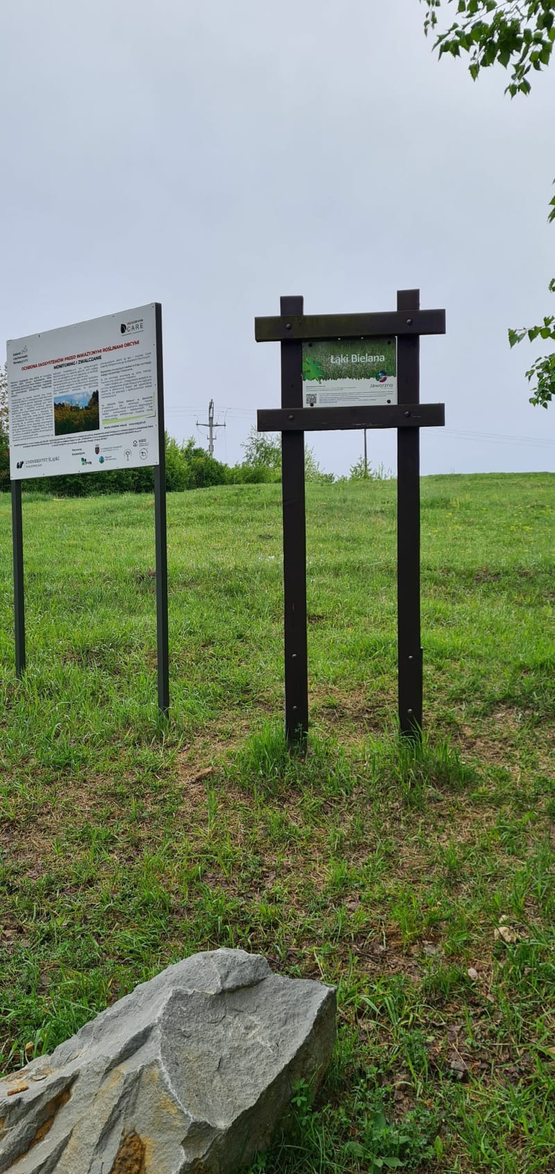 Łąki Bielana, wzgórze Bielana - Jaworzno