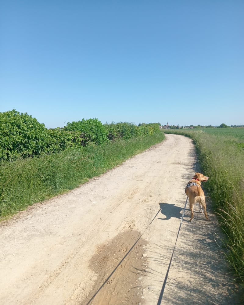 Parcours verdoyant autour de Chavanoz - Chavanoz