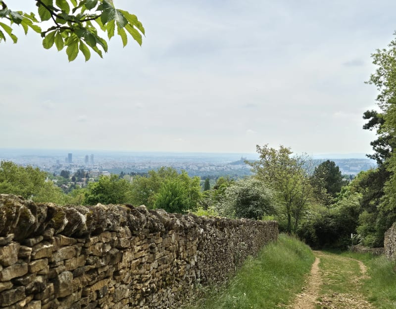 Mont Thou par Saint-Cyr, depuis St-Rambert - Lyon