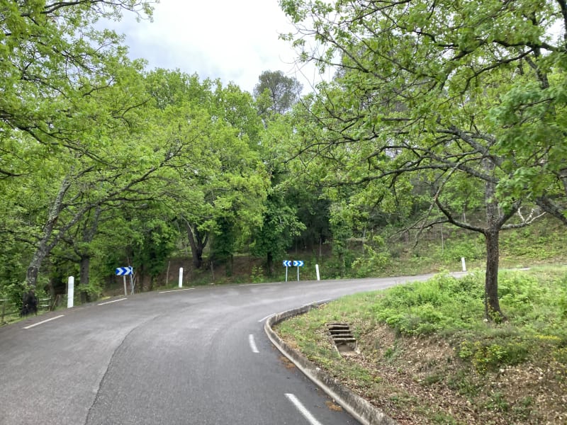 Boucle entre Venelle, Puy et La Cride - Venelles