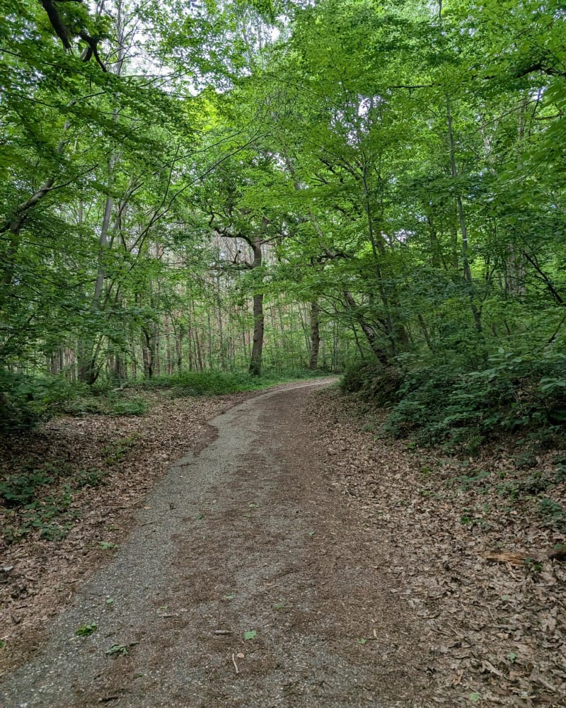 Coudrette, val Allard, Houpeville - Notre-Dame-de-Bondeville