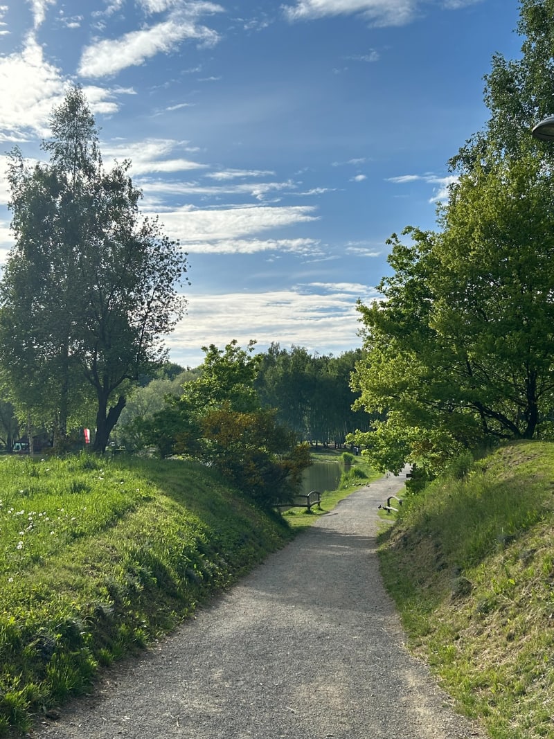 Spacer do Parku Dinozaurów - Siemianowice Śląskie