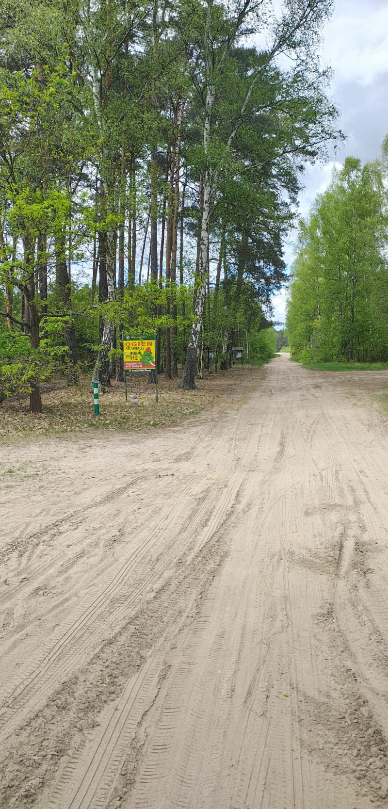 Spacer w Puszczy Noteckiej - Wronki