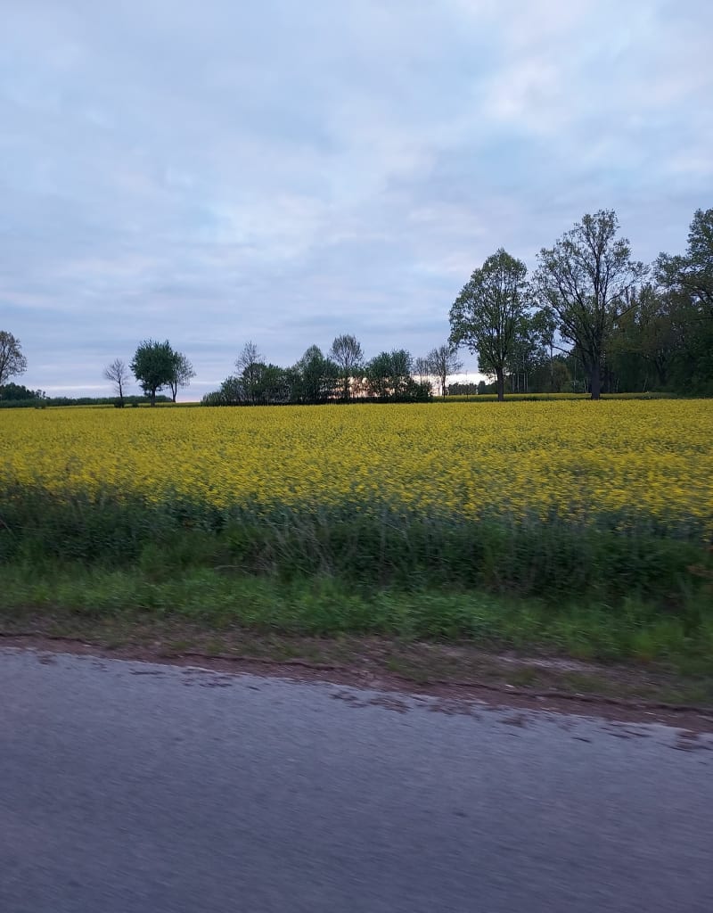 Tour de Rębkow-Parcel, Zakącie, Górki - Rębków-Parcele