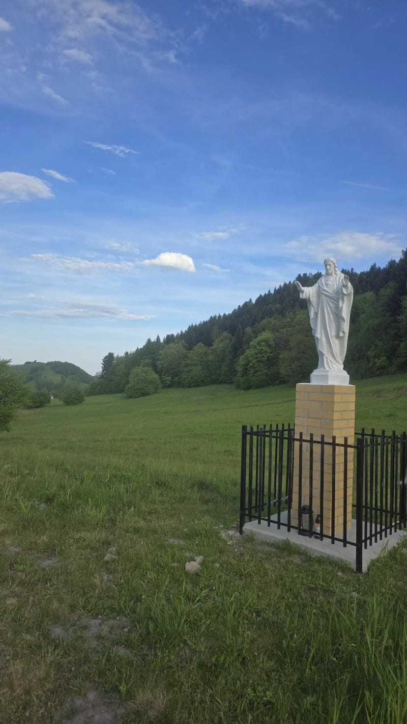Worecznik. - Skrzydlna