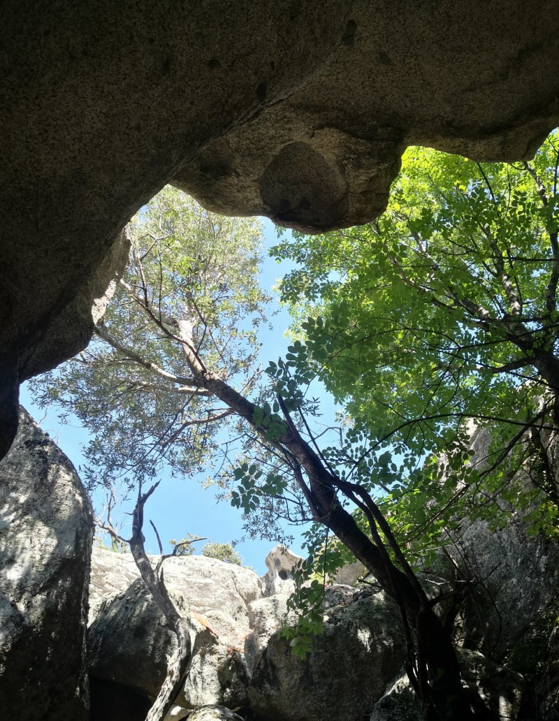 Boucle Araghju Benghjune - San-Gavino-di-Carbini