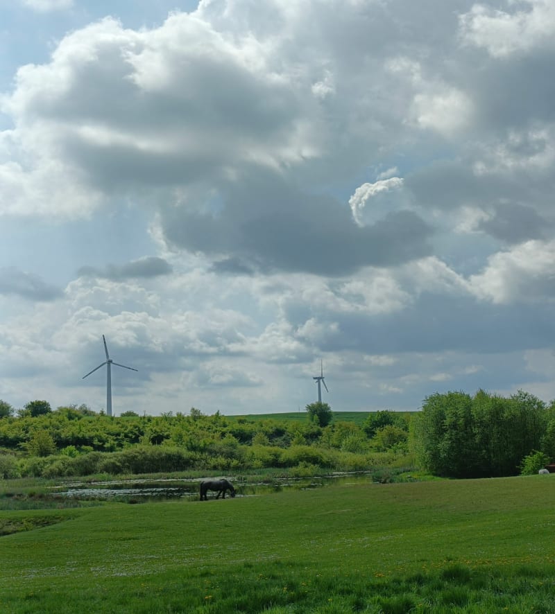 Wałcz -Chwiram-Przybkowo-Dobino-Wałcz - Wałcz