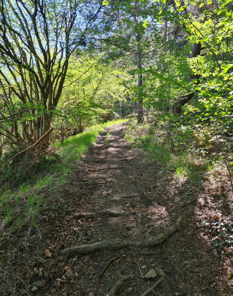 Découverte du Mont Peynastre - Saint-Germain-Laprade