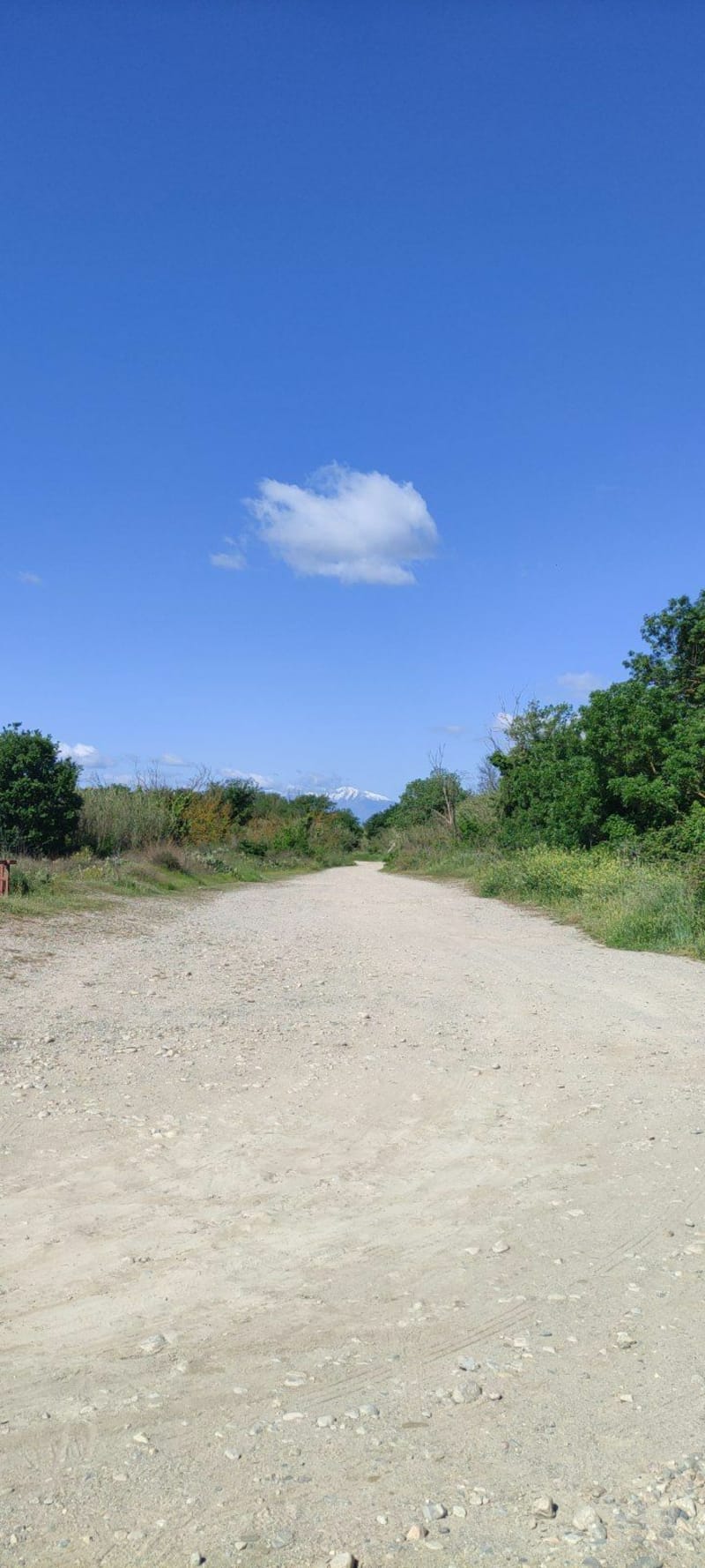 Boucle du Mas Larrieu - Argelès-sur-Mer