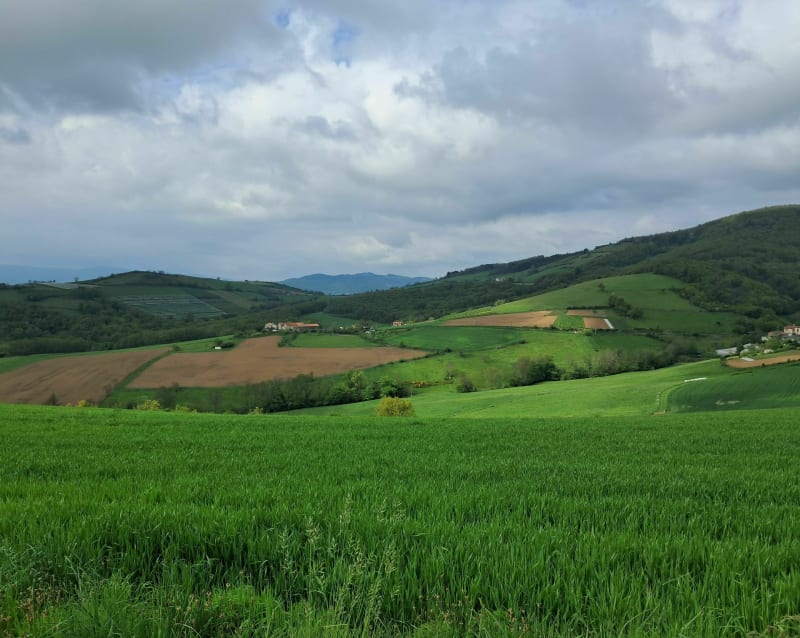 Hanulin - Przybyszów - Szklarka Mielęcka - Osiny - Hanulin - Hanulin