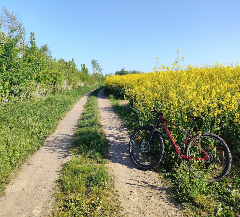 La boucle des champs depuis Saint-Aubert - Saint-Aubert