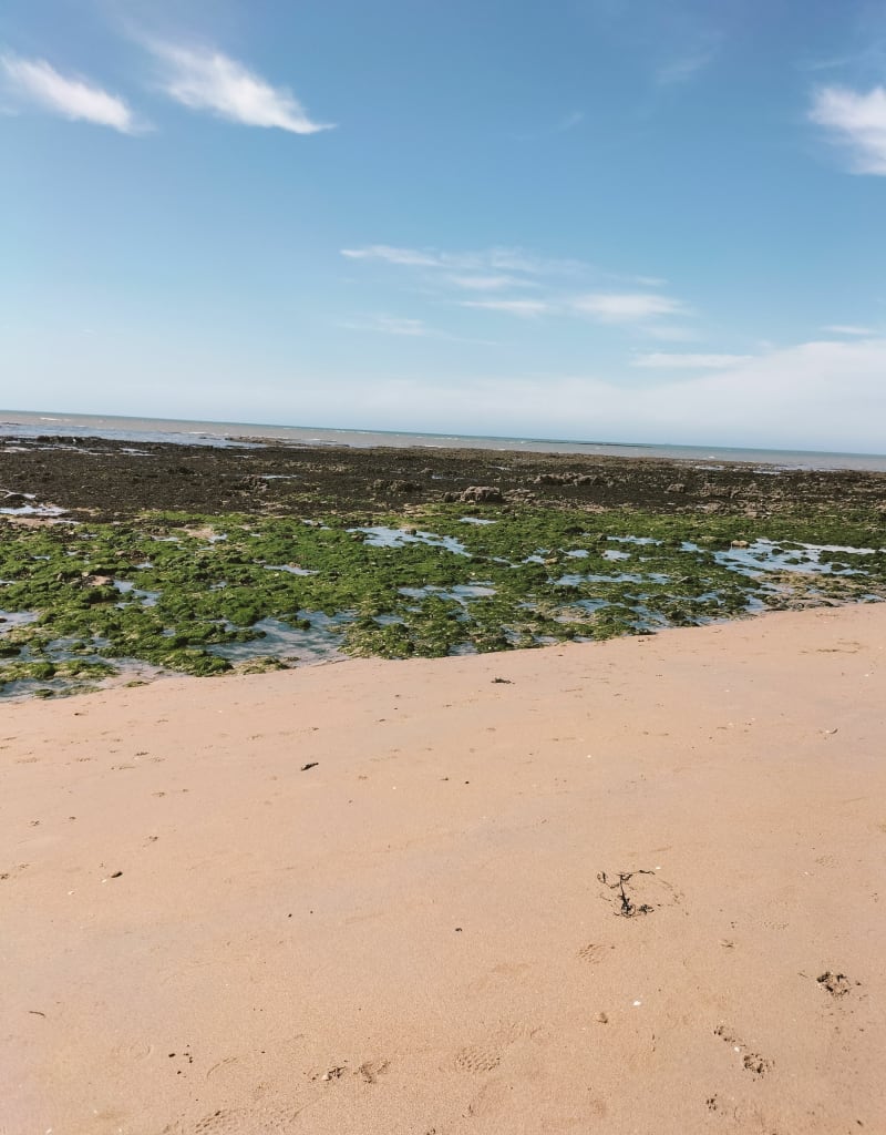 Plage de la Coquette - La Guérinière