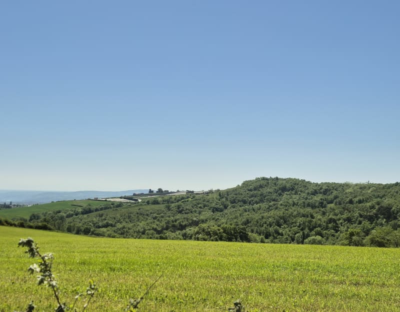 Autour de la chapelle Saint-Vincent de Saint-Laurent-d’Agny - Saint-Laurent-d'Agny