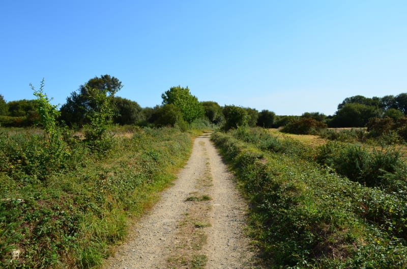 L'étang de la Forêt depuis Coët er Gon - Brandivy
