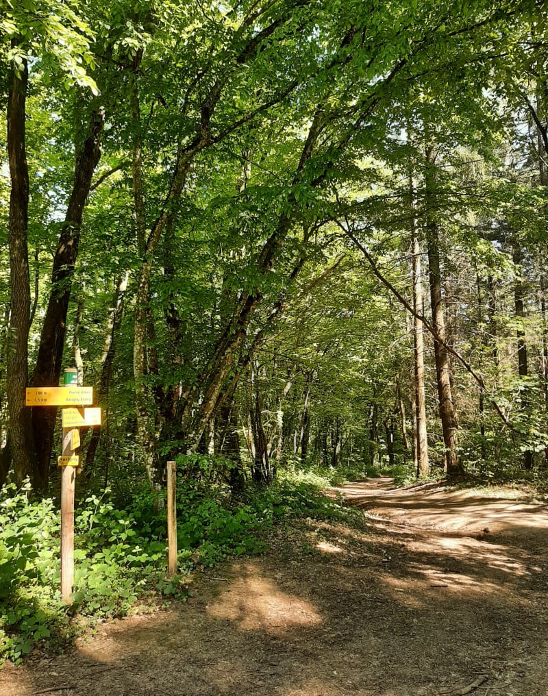 Rando autour de Flacé - Hurigny