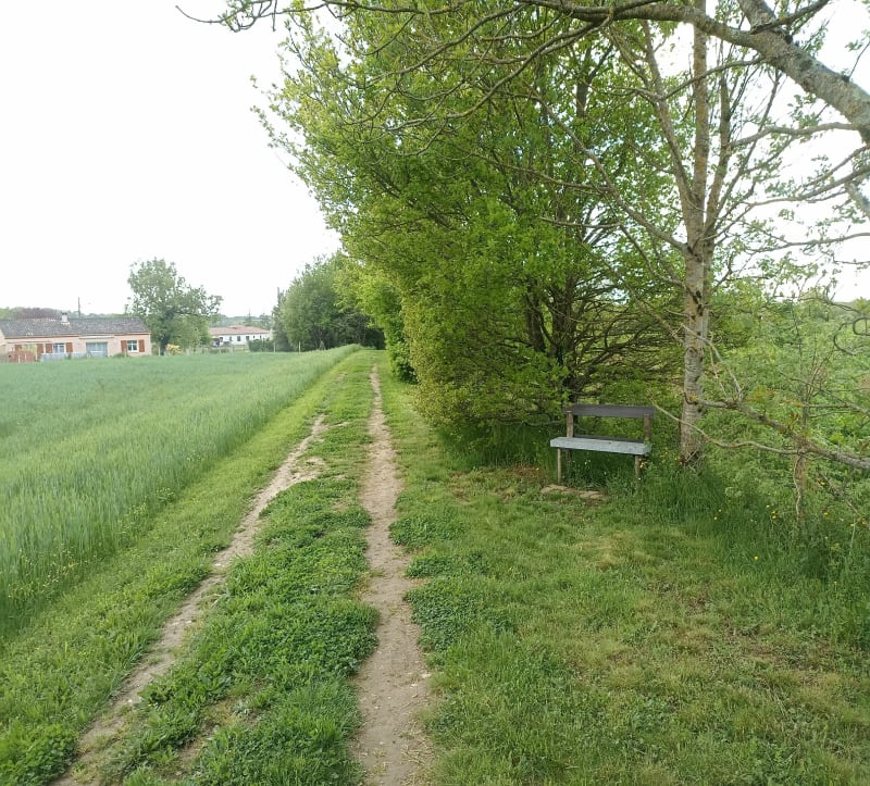 Boucle de la Plaine de Lacalm - Roquecourbe