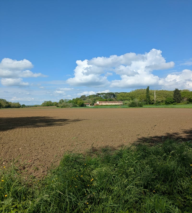Boucle entre Viellevigne et bois Barat - Vieillevigne