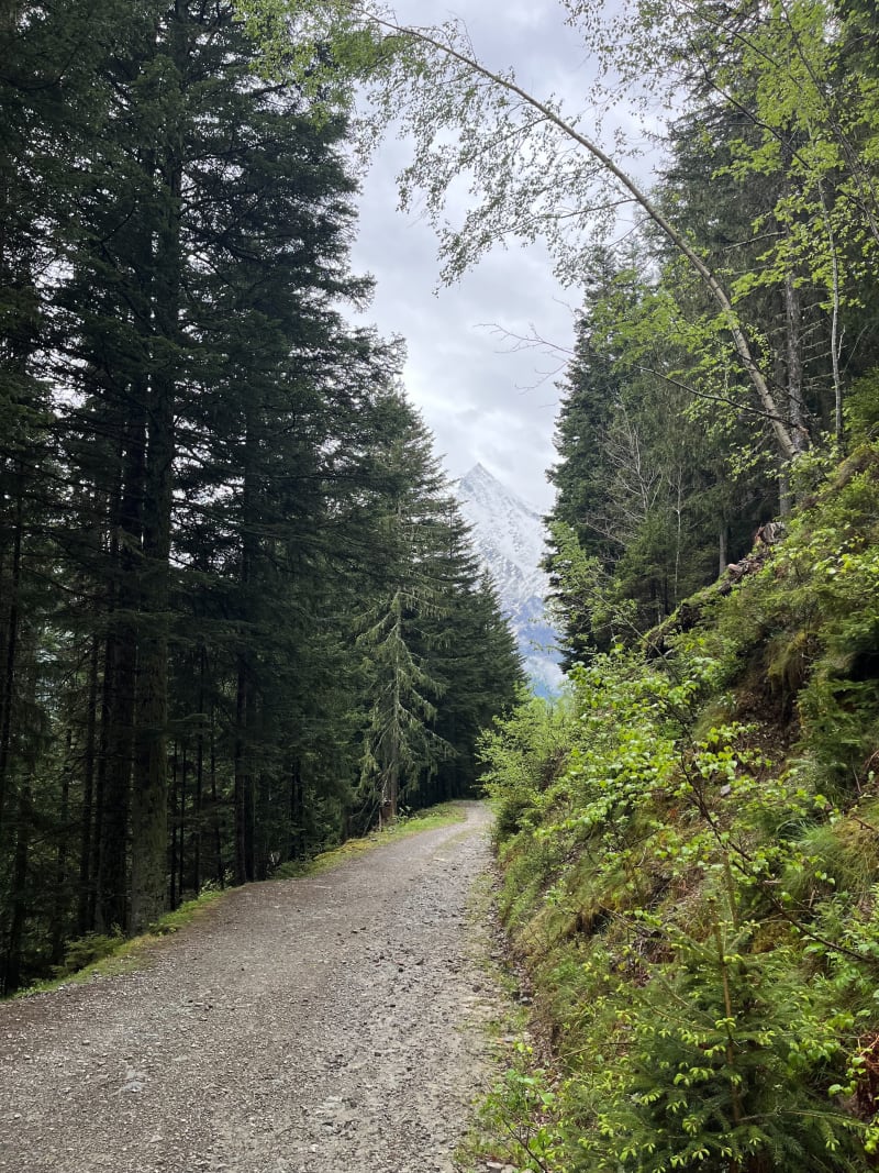 Chamonix - Sentier des Gardes - Chamonix-Mont-Blanc