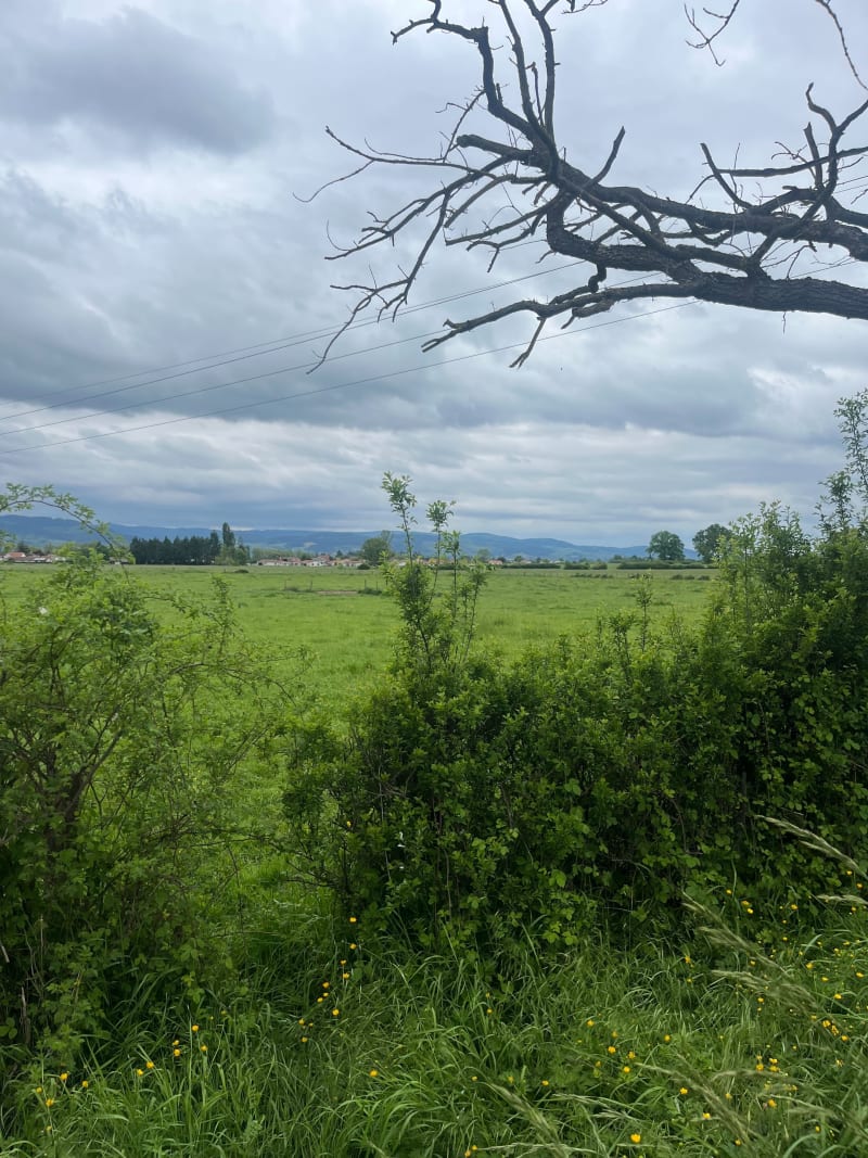 Balade autour de St Leger sur Roanne - Saint-Léger-sur-Roanne