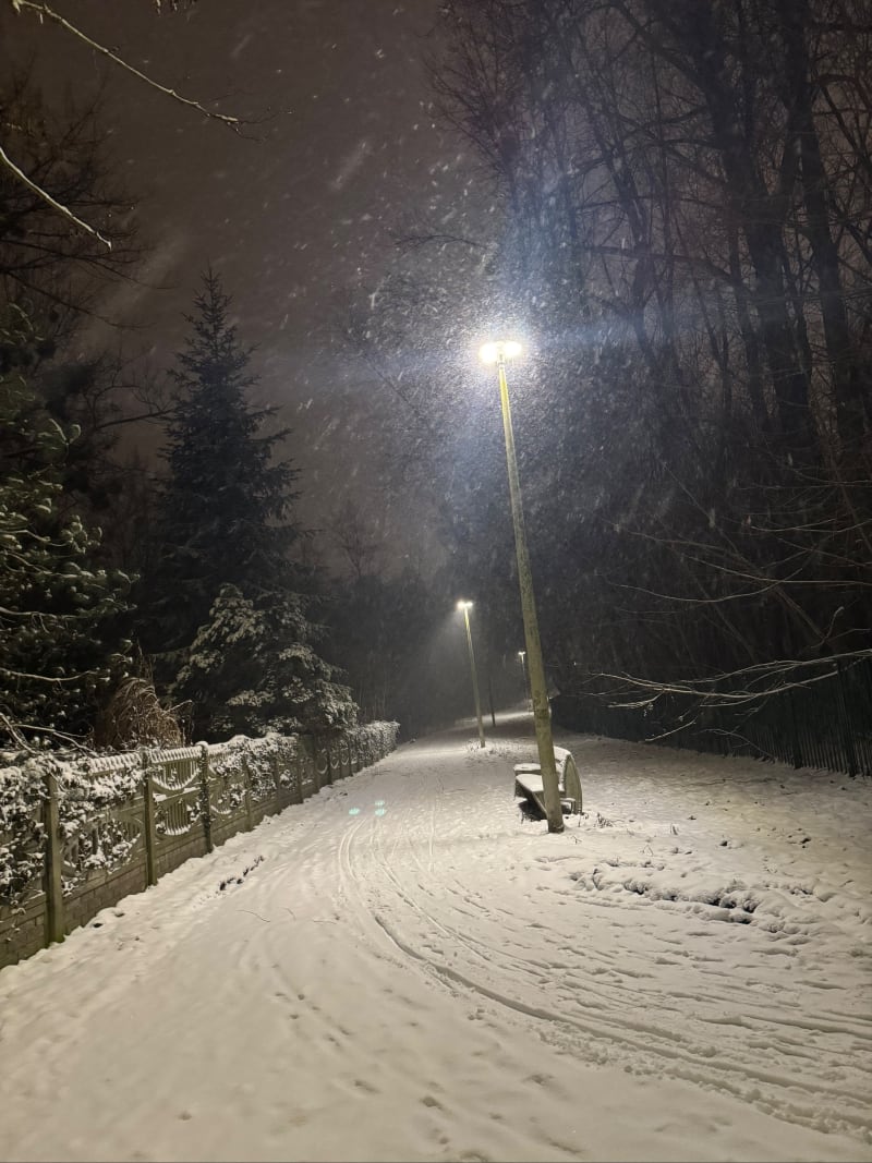 Park slaski - Chorzów