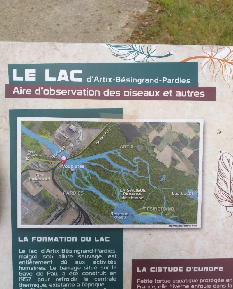 Agnos - lac d'Artix Besingrand - Agnos