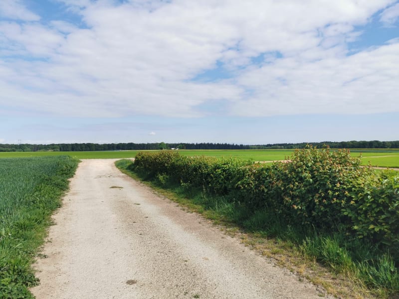 Entre champs et bois à Beaufour - Vitot