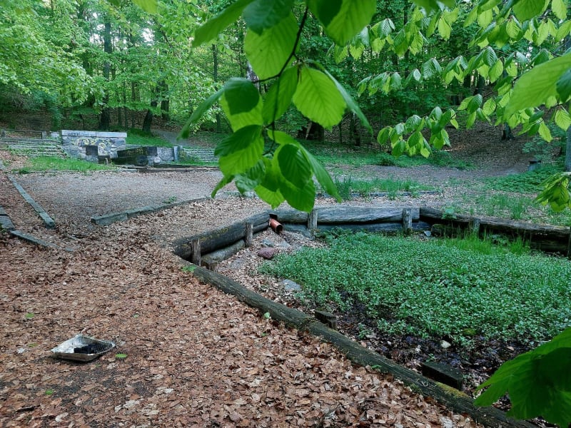 Lasek miejski w Chojnicach od ulicy Zielonej - Chojnice