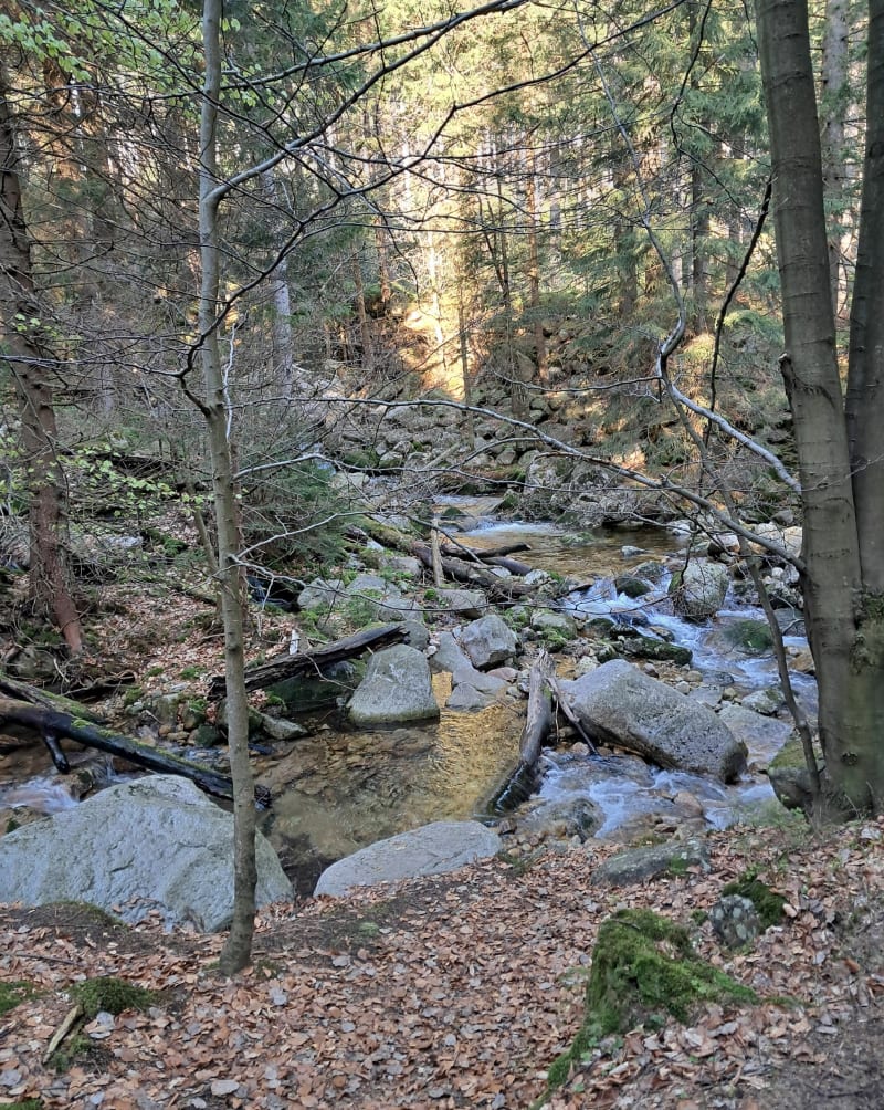 Szczyt Śnieżka - Karpacz