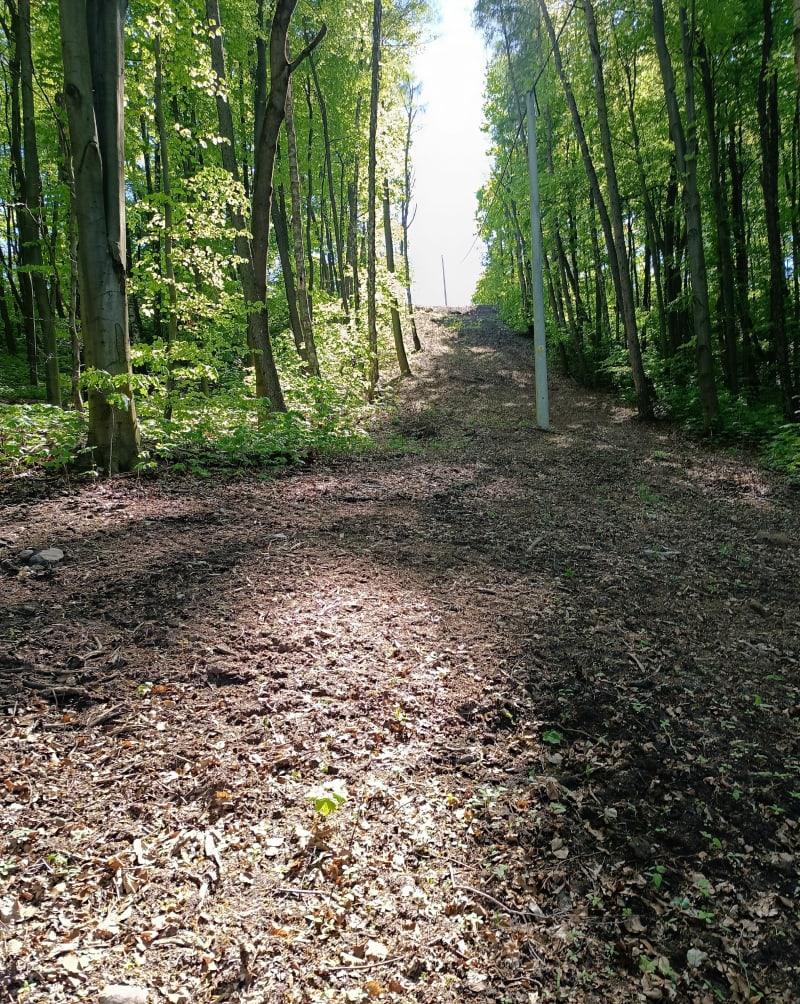 Chęciny i okolice - Szewce
