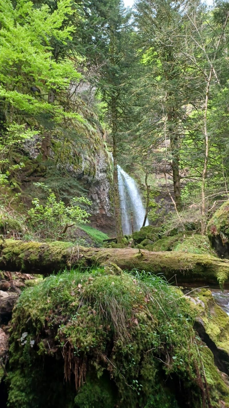 Cascade de biaguin et ses sentiers - Le Falgoux