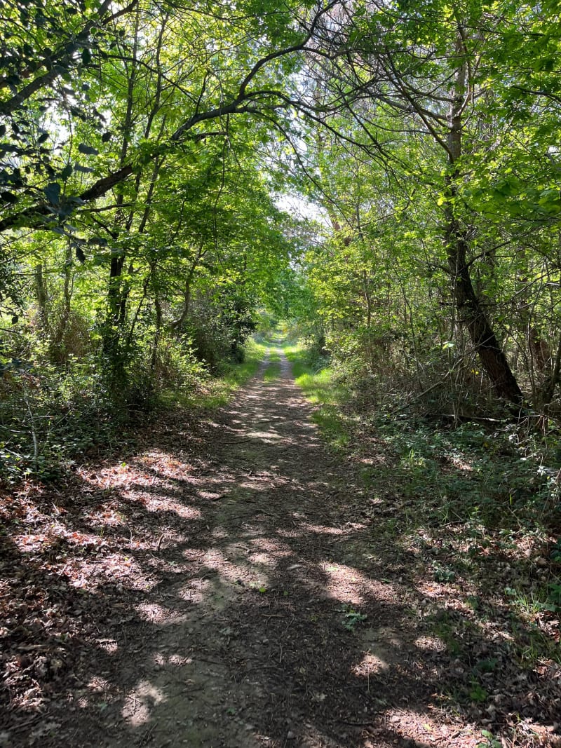 Boucle au Bois de Rieumes - Rieumes