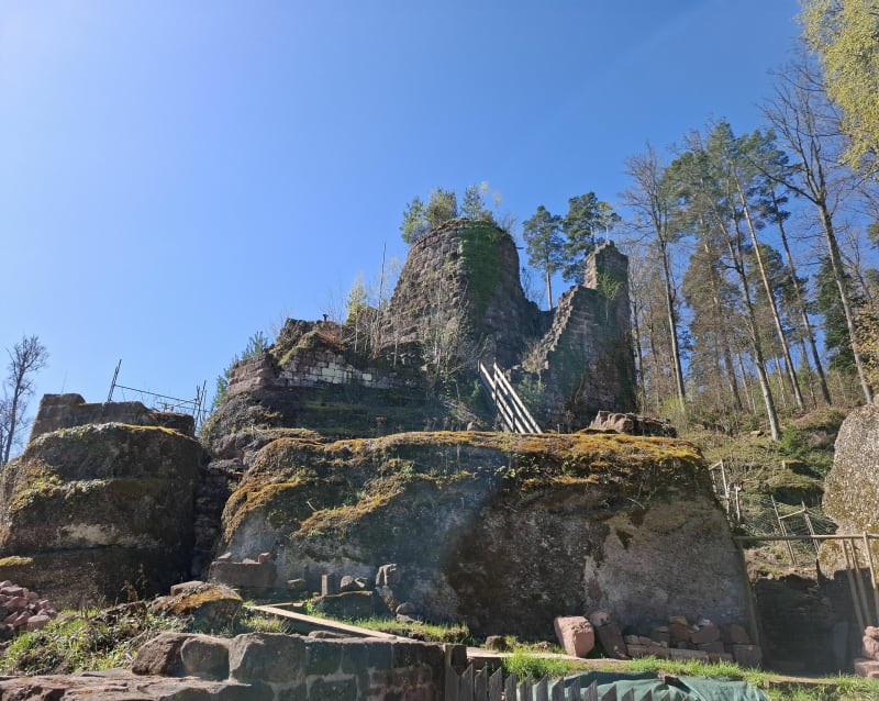 Boucle Freudeneck, Wangenbourg, Castelberg et grotte Mencke - Wangenbourg-Engenthal